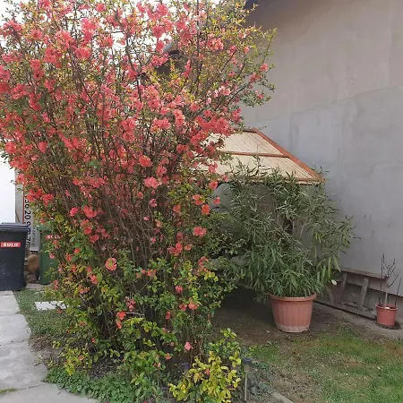 Appartamento Boris Apartman 2